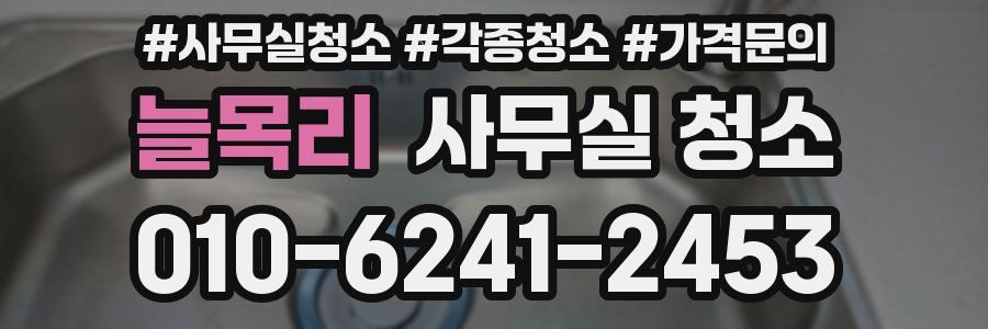 늘목리 사무실 청소