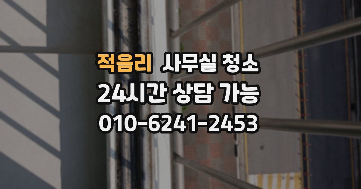 적음리 사무실 청소