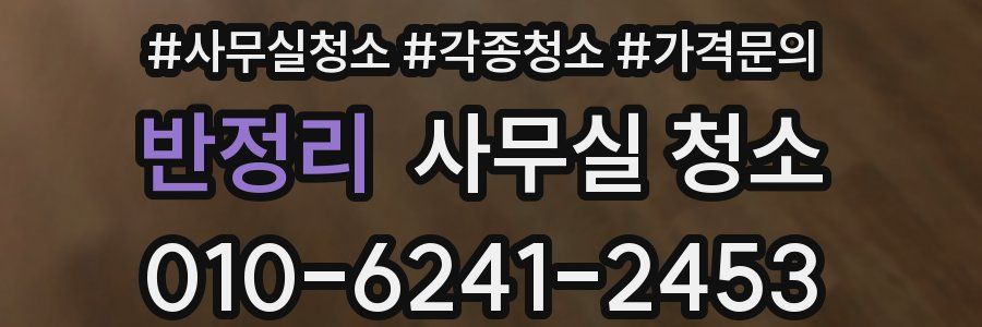 반정리 사무실 청소