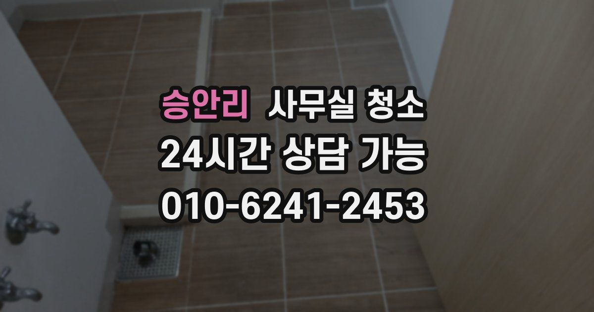 승안리 사무실 청소