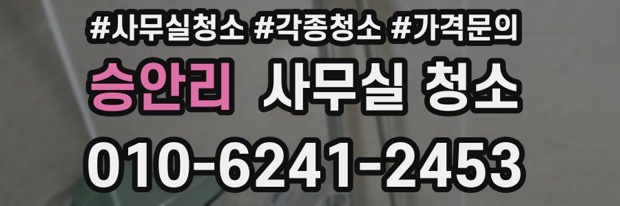승안리 사무실 청소