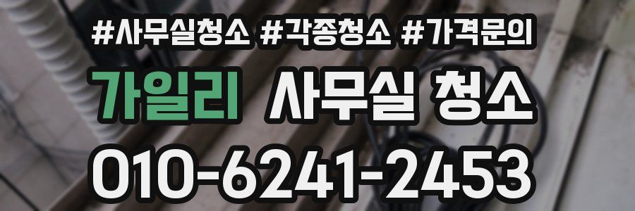 가일리 사무실 청소