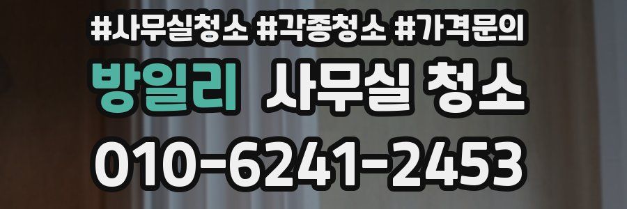 방일리 사무실 청소