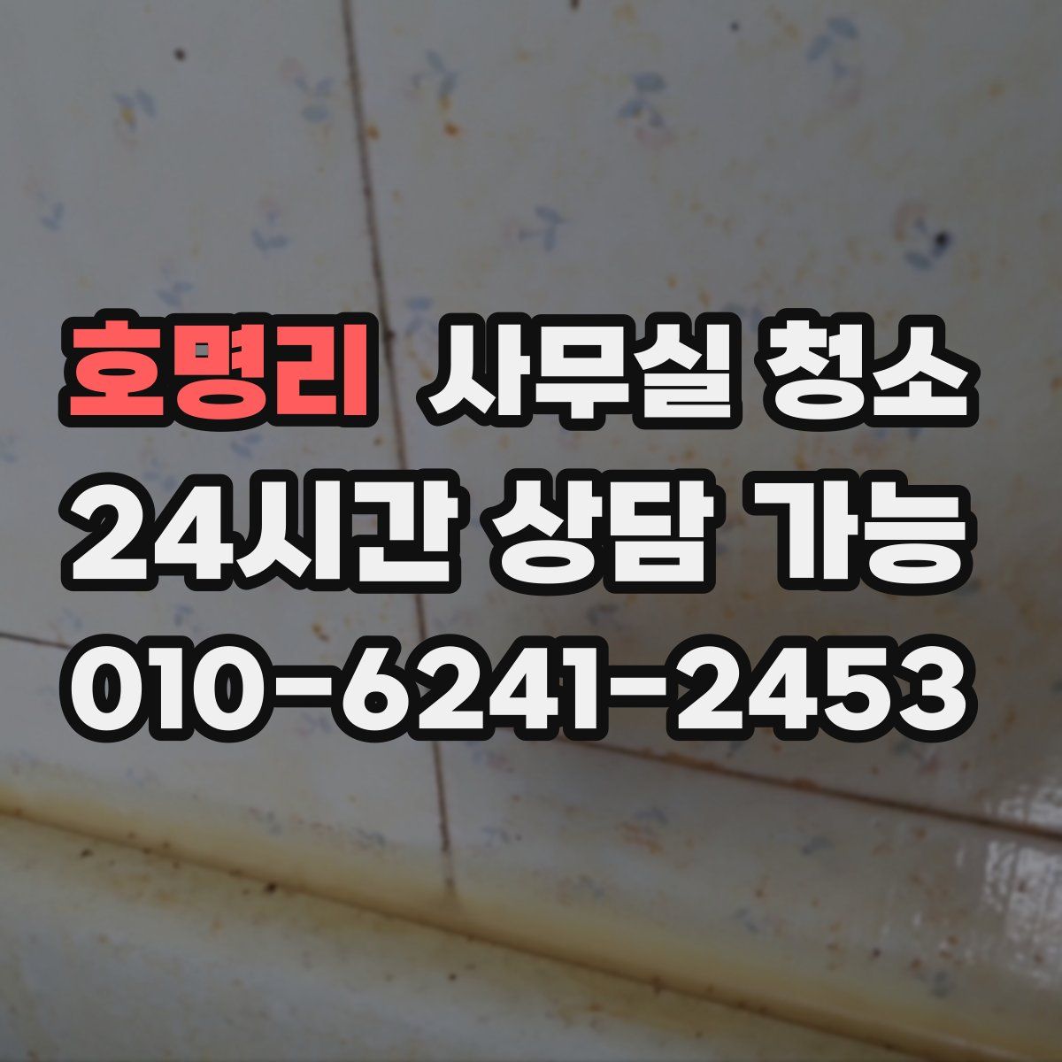 호명리 사무실 청소