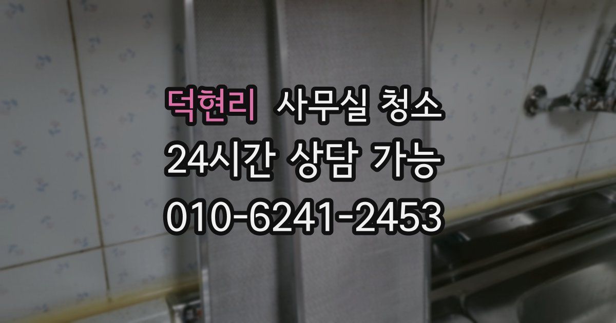 덕현리 사무실 청소