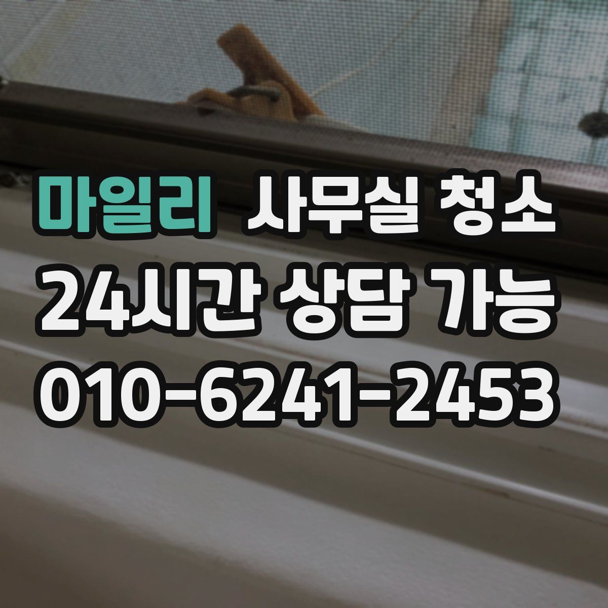 마일리 사무실 청소