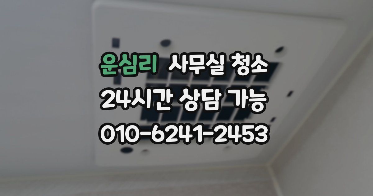 운심리 사무실 청소