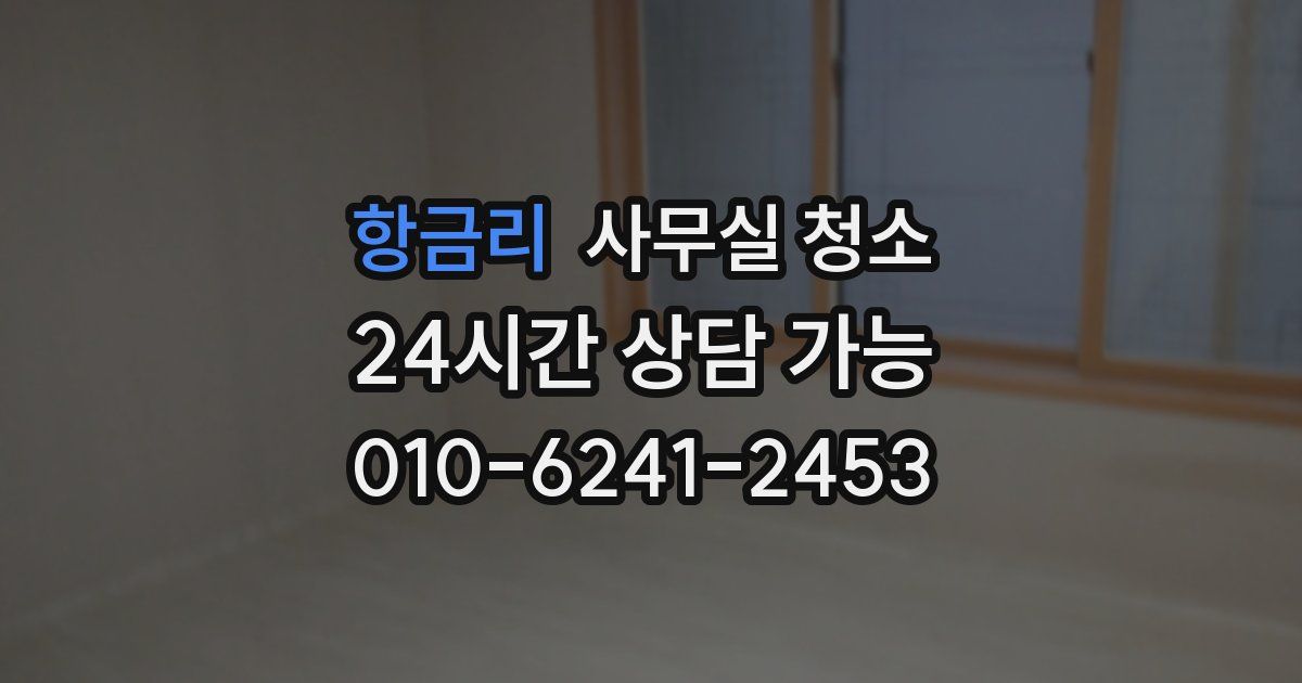 항금리 사무실 청소