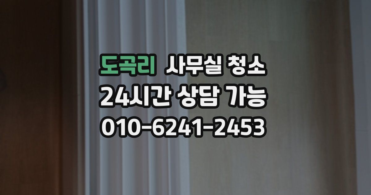 도곡리 사무실 청소