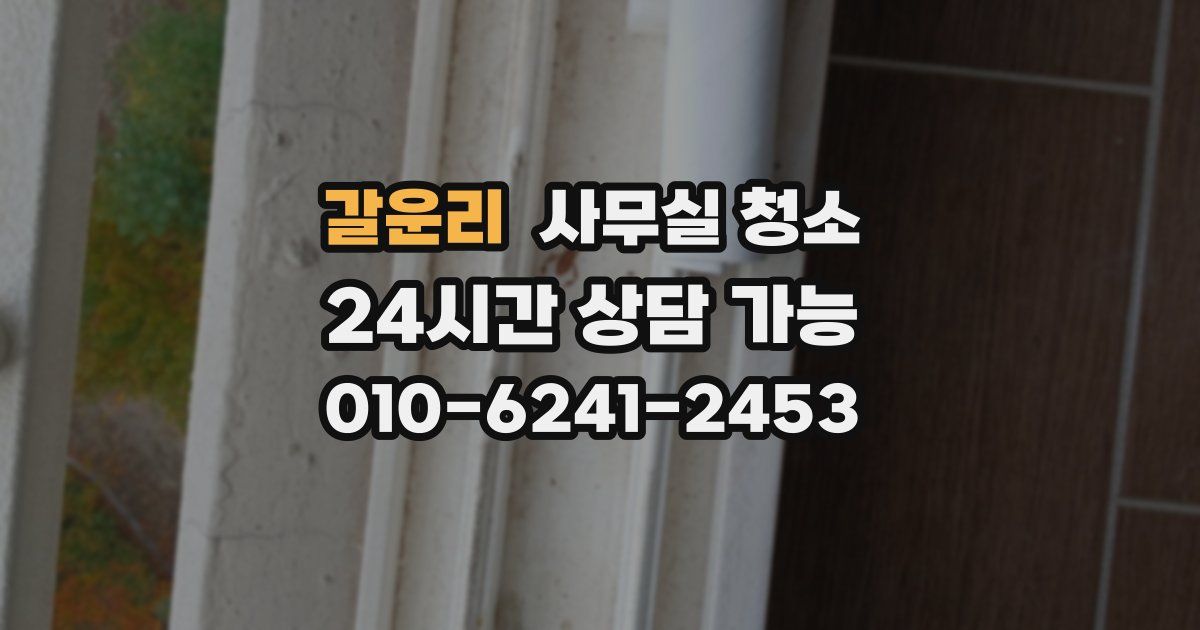 갈운리 사무실 청소