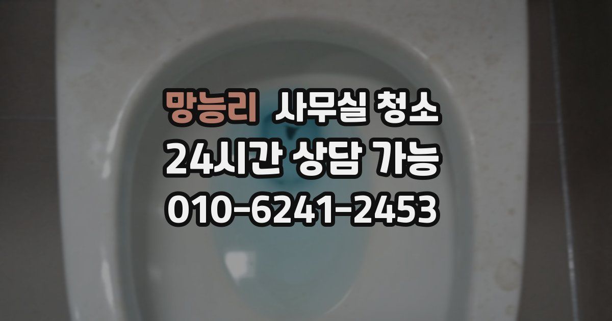망능리 사무실 청소