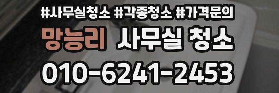 망능리 사무실 청소