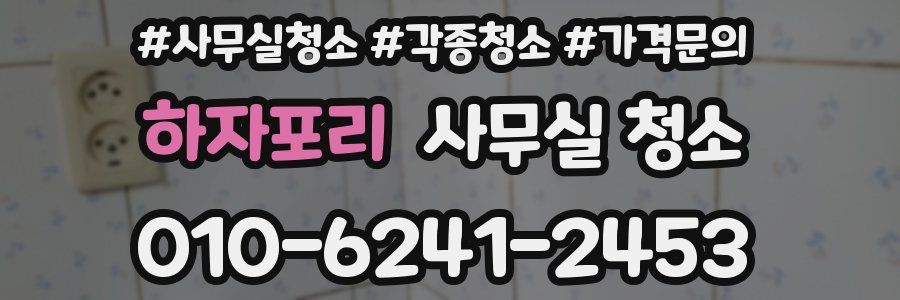 하자포리 사무실 청소