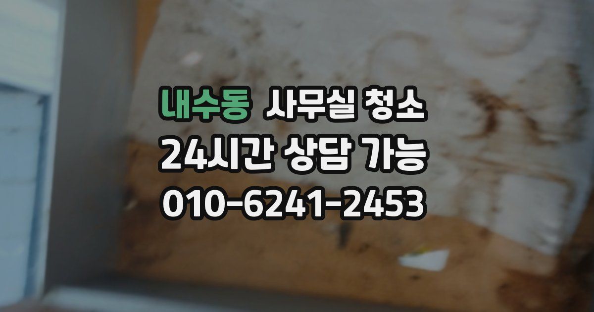 내수동 사무실 청소