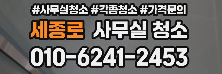 세종로 사무실 청소