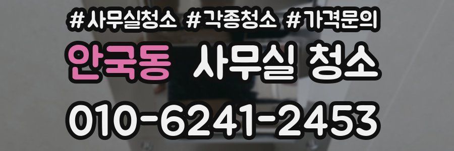 안국동 사무실 청소