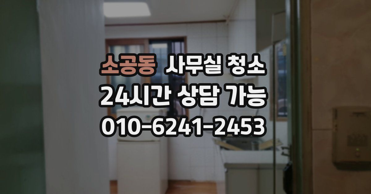 소공동 사무실 청소
