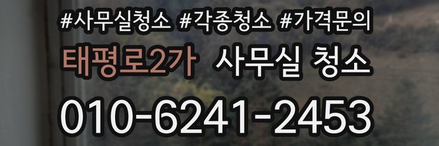 태평로2가 사무실 청소