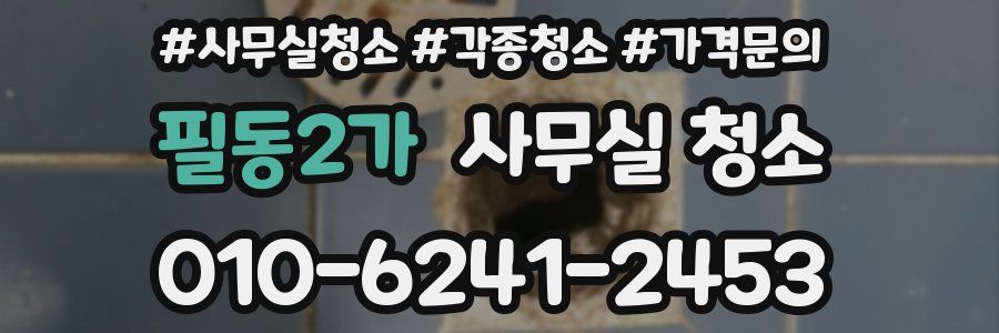 필동2가 사무실 청소