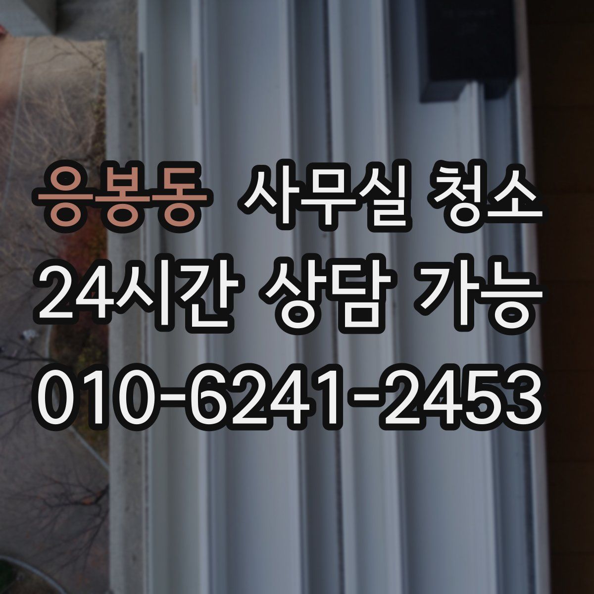 응봉동 사무실 청소