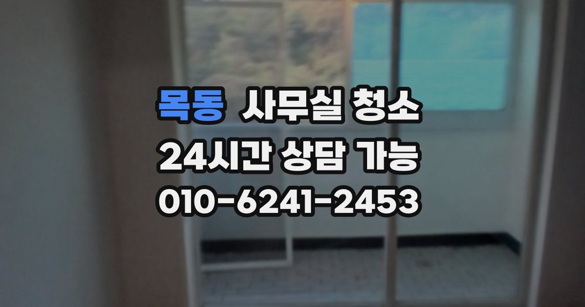 목동 사무실 청소