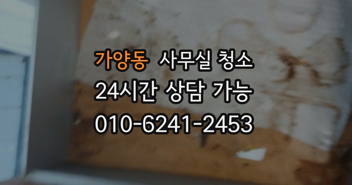 가양동 사무실 청소