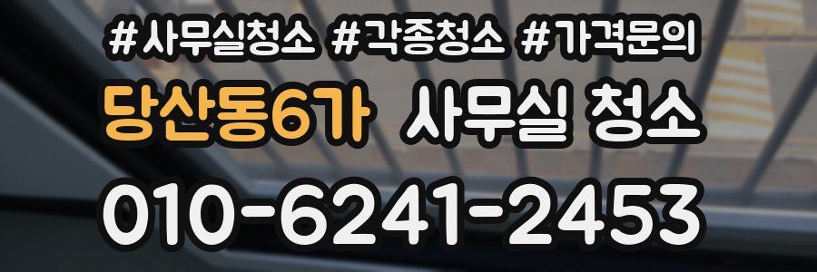 당산동6가 사무실 청소