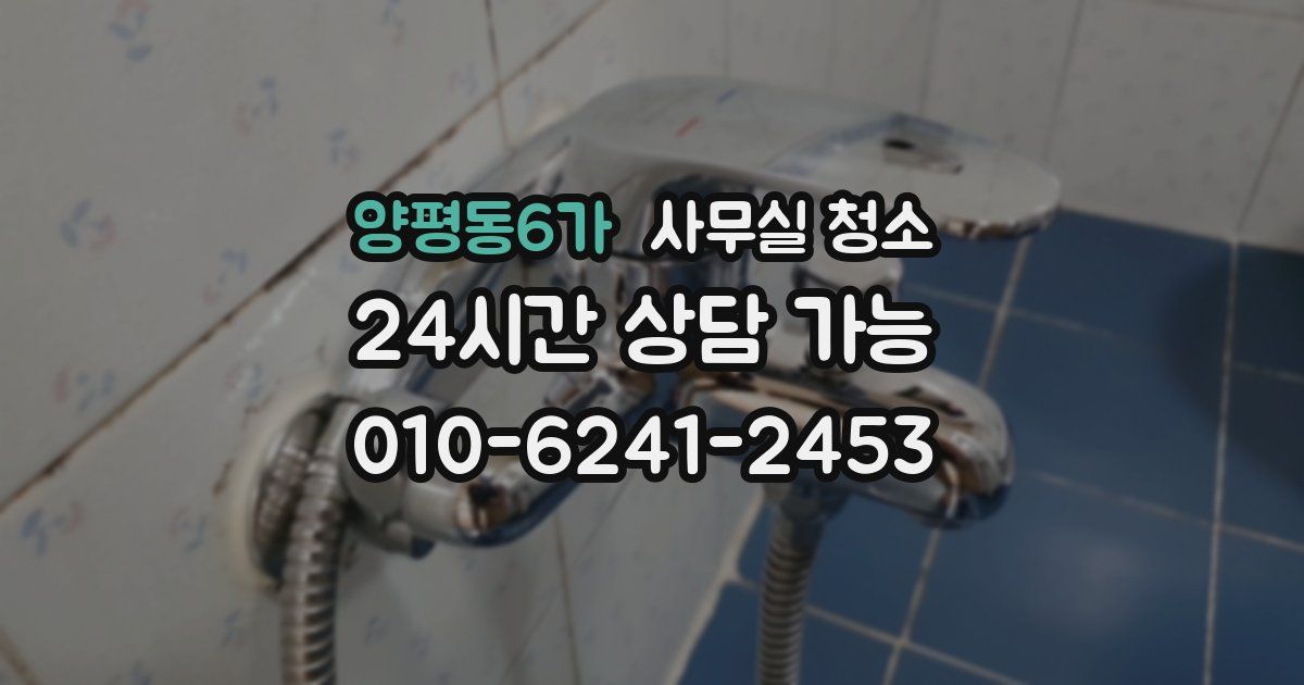 양평동6가 사무실 청소