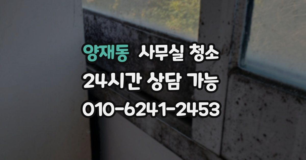 양재동 사무실 청소
