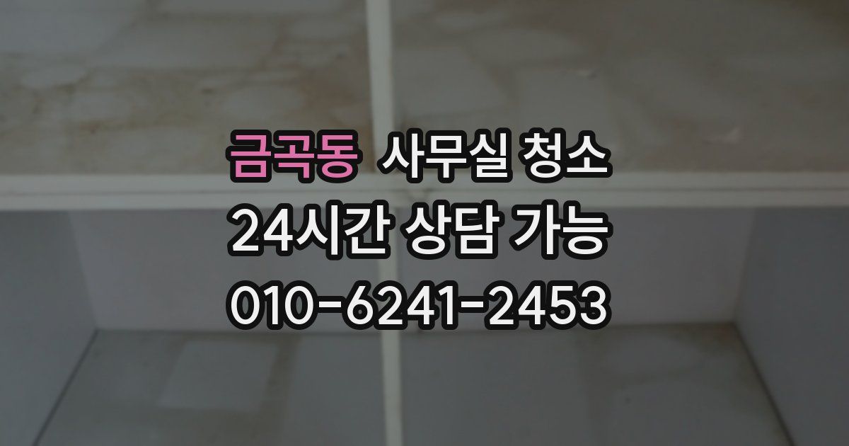 금곡동 사무실 청소