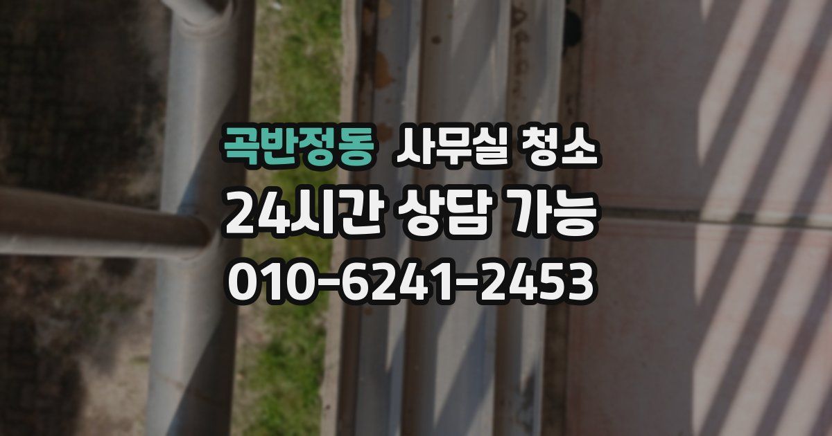 곡반정동 사무실 청소