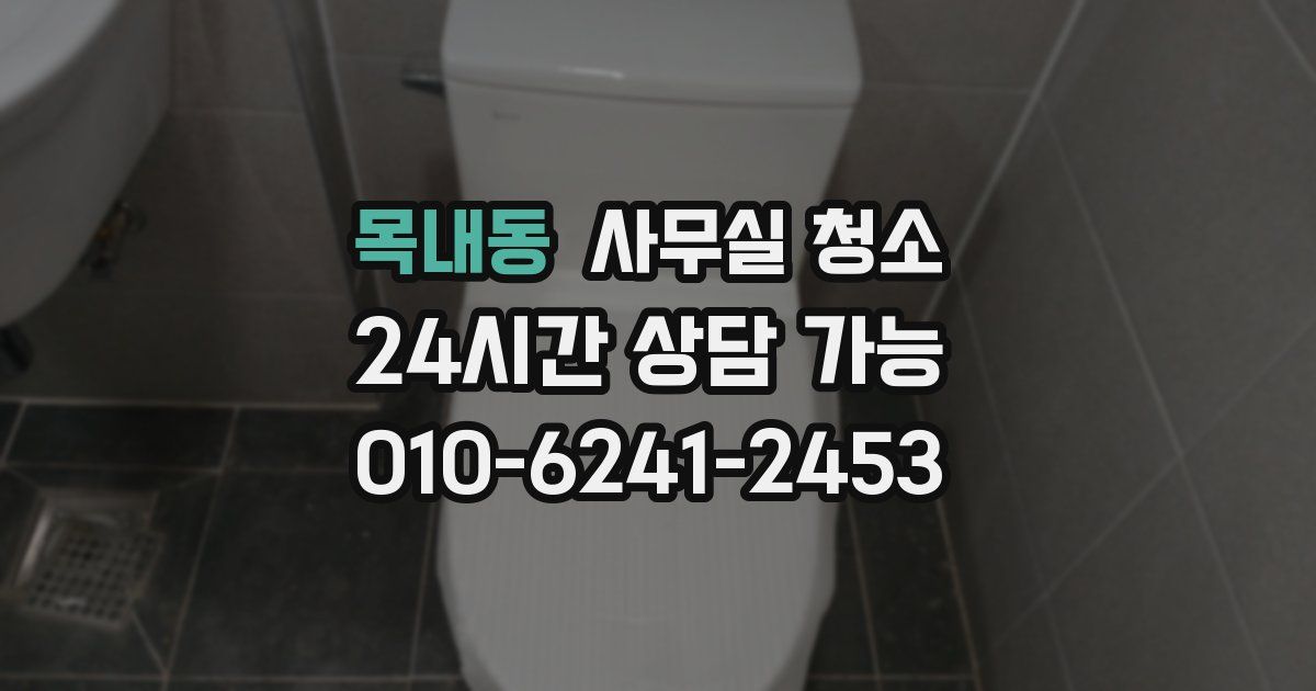 목내동 사무실 청소