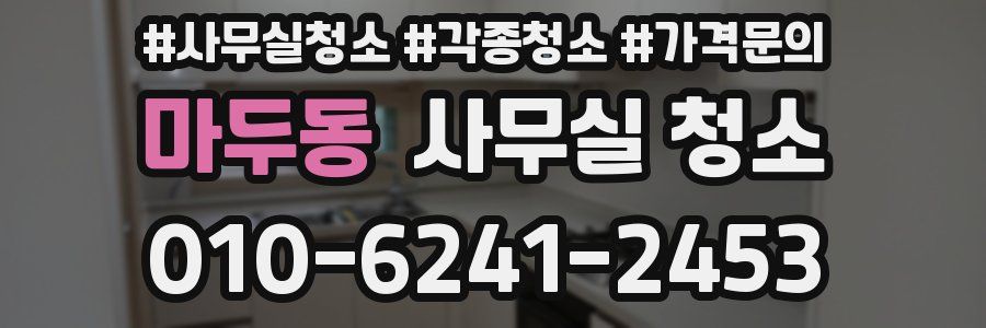 마두동 사무실 청소