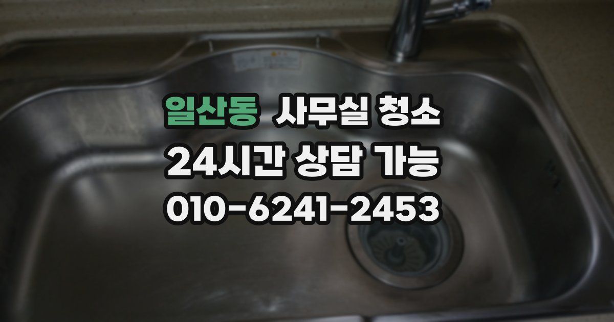 일산동 사무실 청소