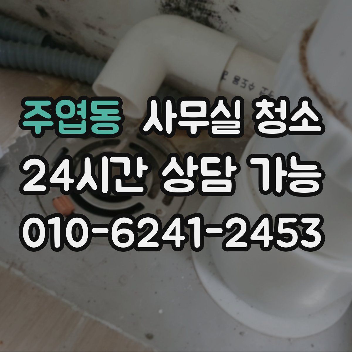 주엽동 사무실 청소