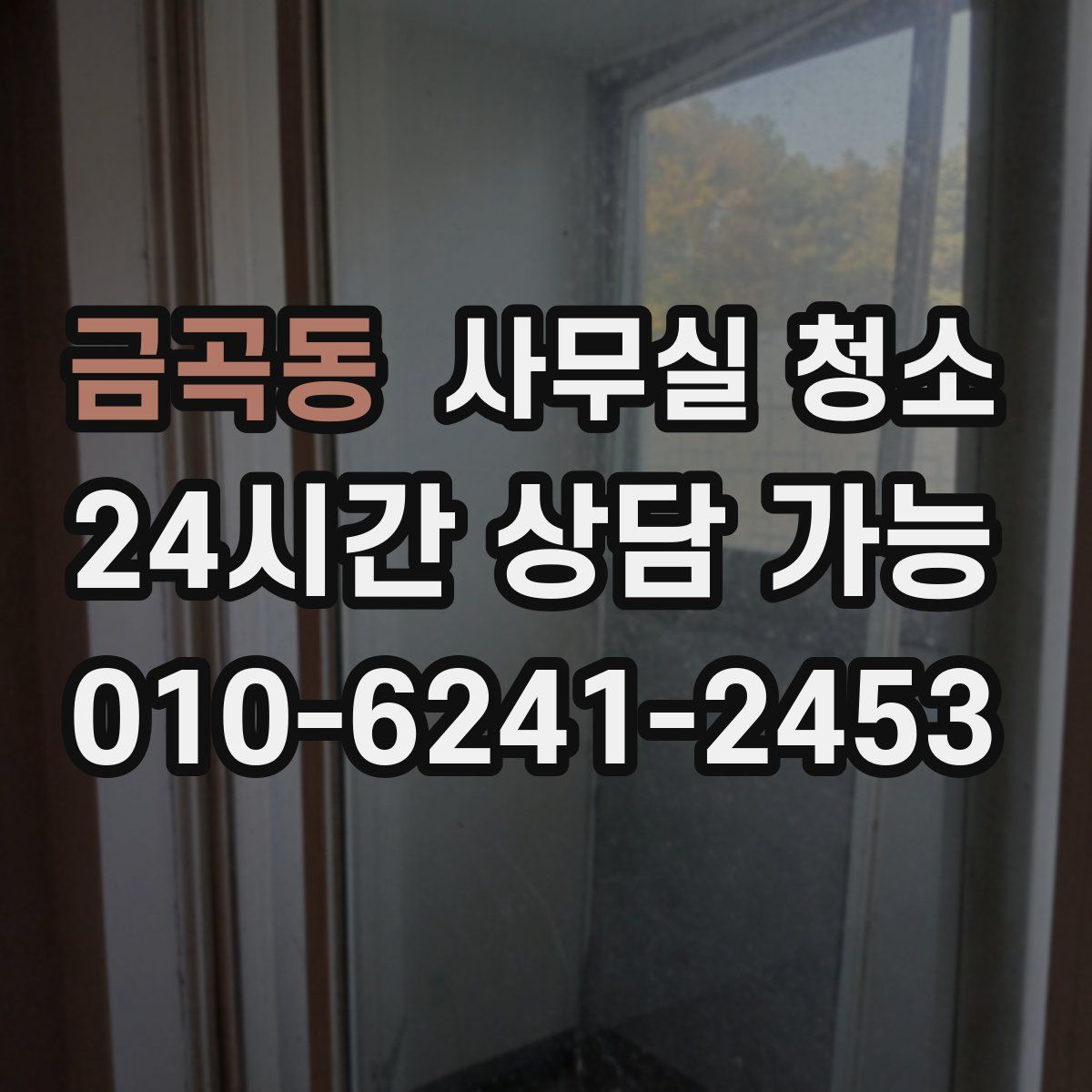 금곡동 사무실 청소