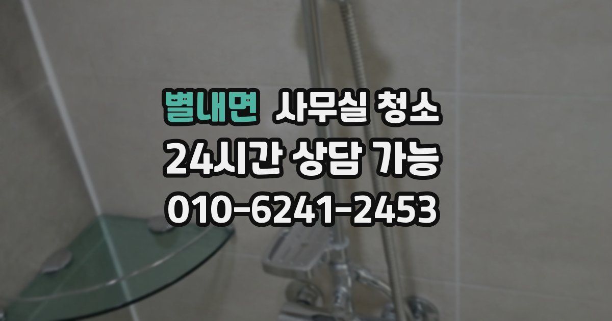 별내면 사무실 청소