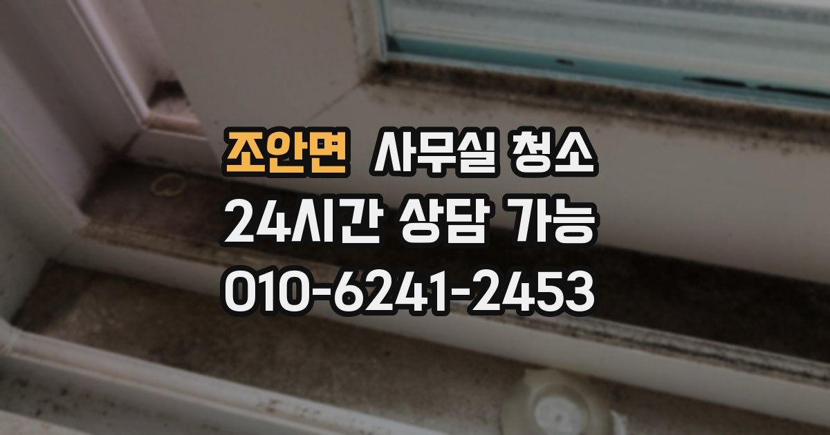 조안면 사무실 청소