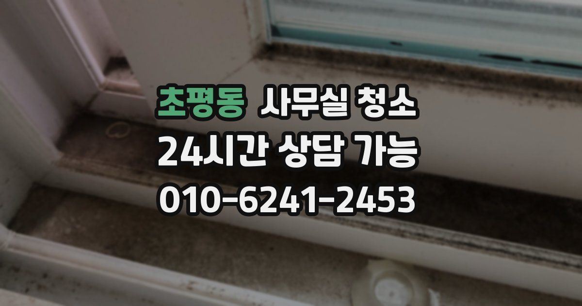 초평동 사무실 청소