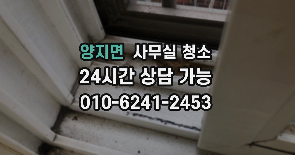 양지면 사무실 청소
