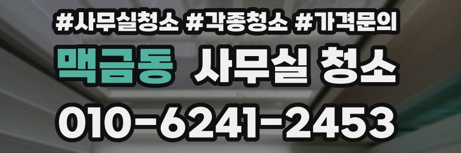 맥금동 사무실 청소