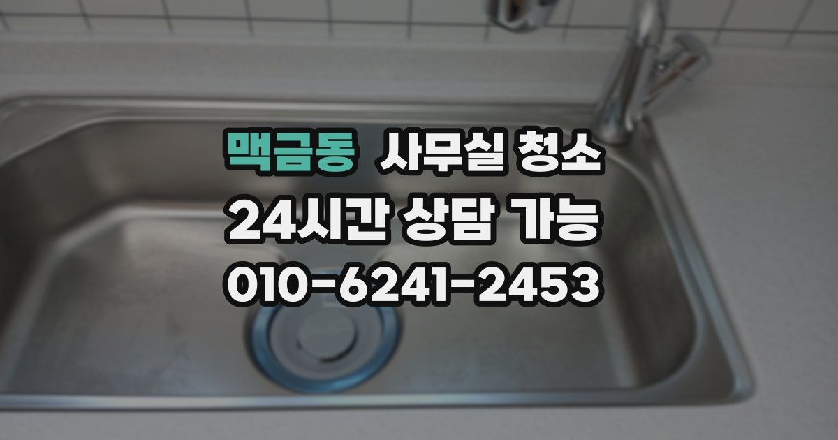 맥금동 사무실 청소