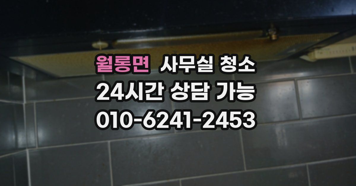 월롱면 사무실 청소