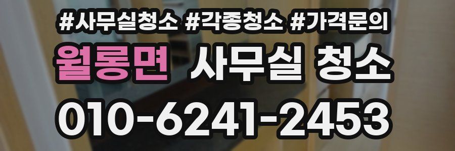 월롱면 사무실 청소