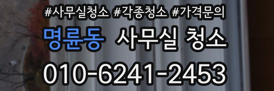 명륜동 사무실 청소