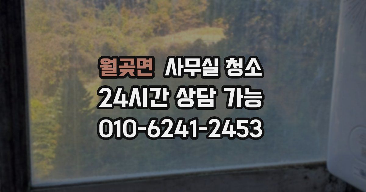 월곶면 사무실 청소