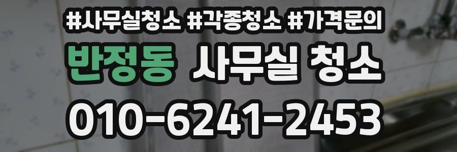 반정동 사무실 청소