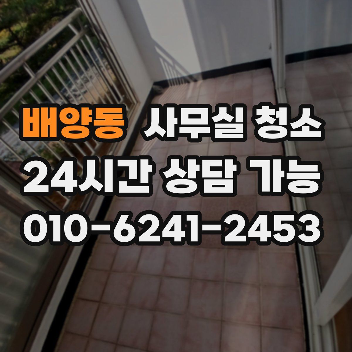 배양동 사무실 청소