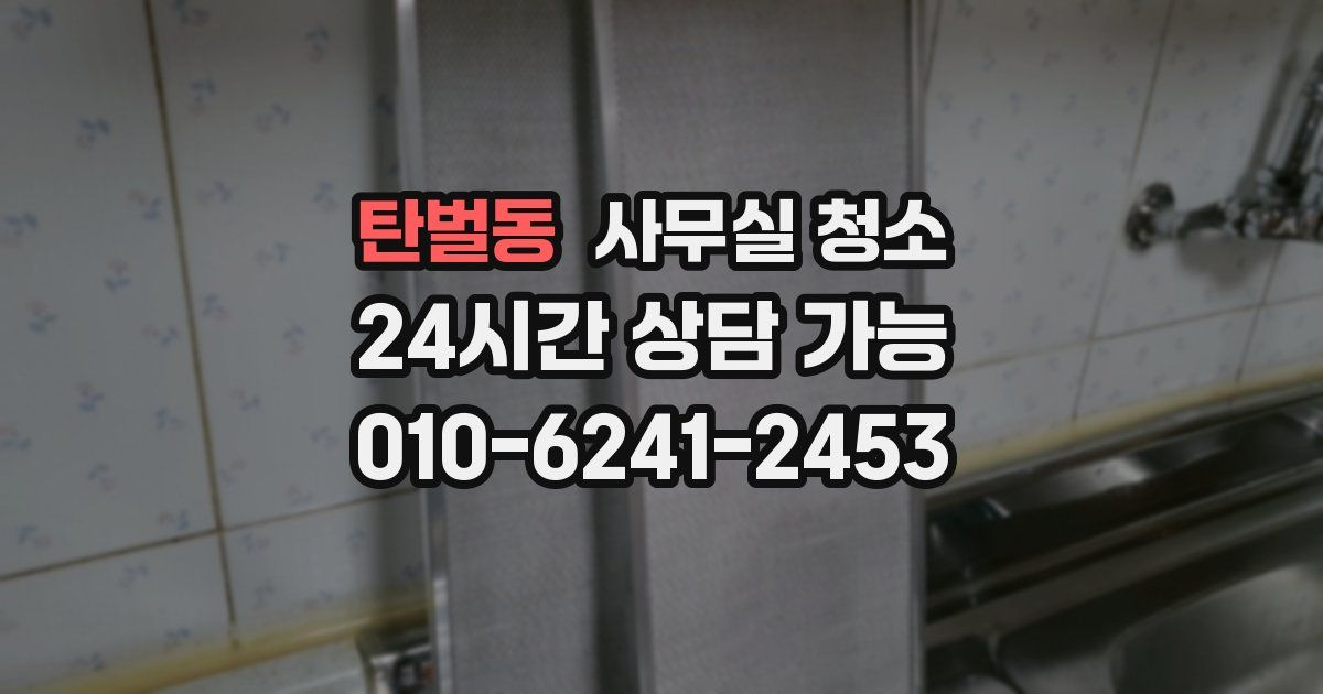 탄벌동 사무실 청소