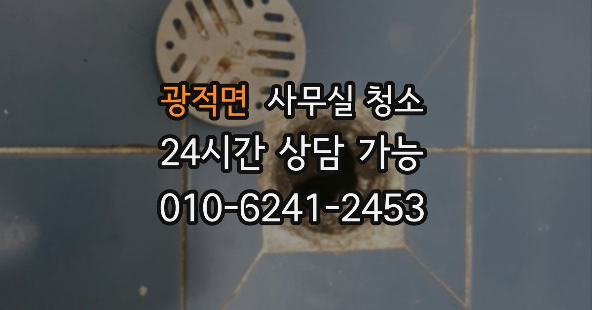 광적면 사무실 청소
